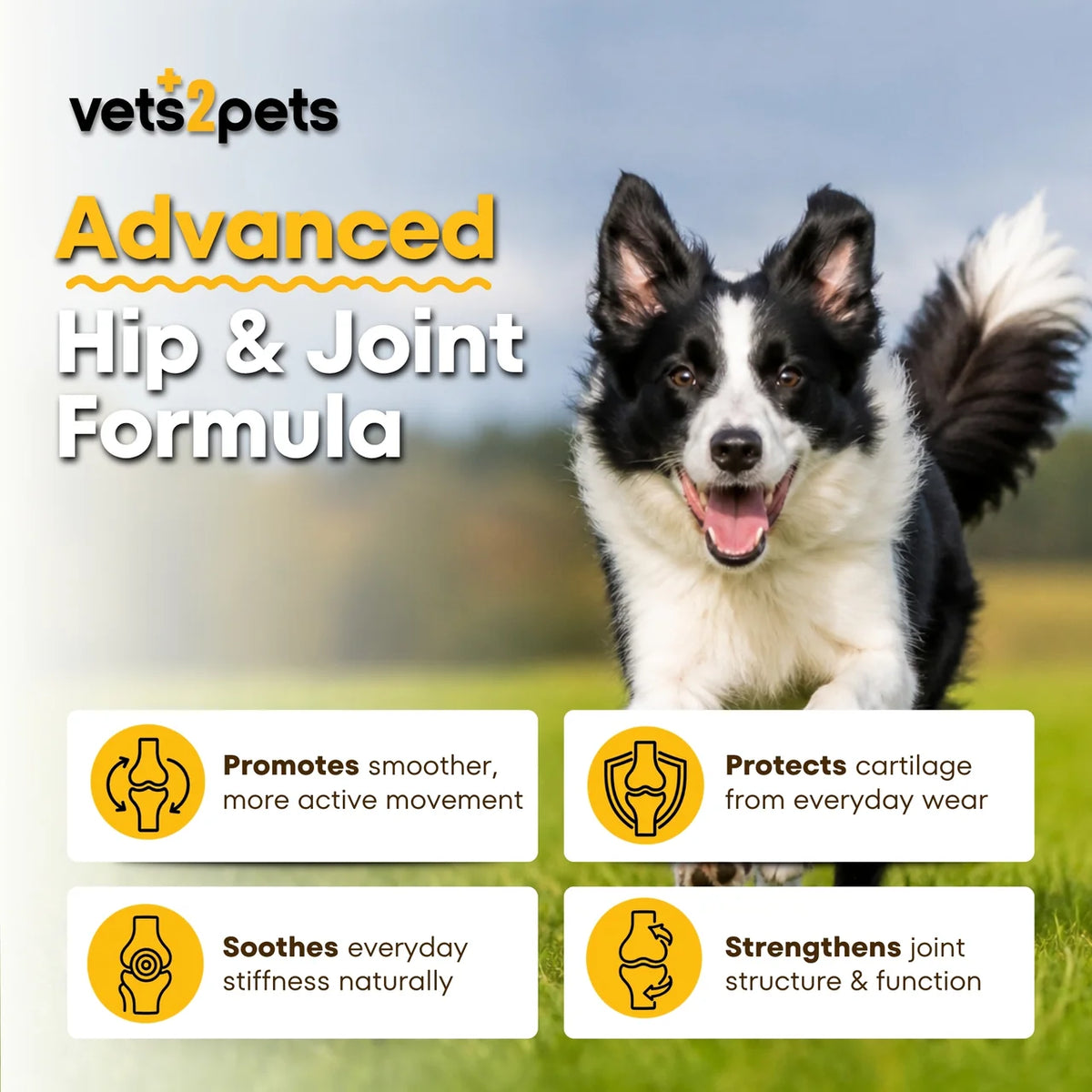 Joint Support