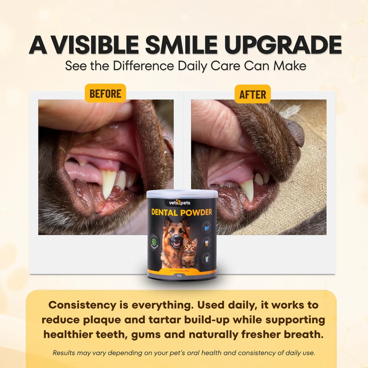 Dental Powder